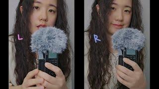 ASMR Twin Ear Blowing | Fluffy Mic Touching, Tascam (No Talking, 1Hr)