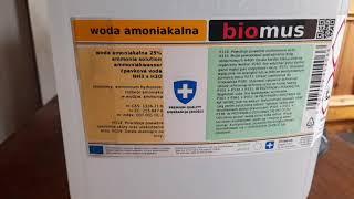 Очистка золота аммиаком ИЛИ получение фульмината (гремучее,  взрыв золота) ? РАЗБЕРЁМСЯ! Часть 1