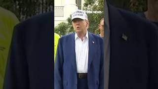 Gutfeld: We don't deserve Trump #shorts #usa #greggutfeld #gutfeld #trump #politics #foxnews #news