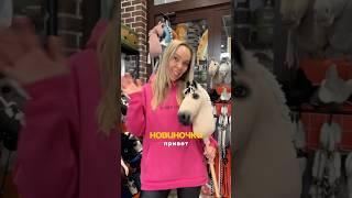 Новые хорсики?! #horse #рекомендации #обзор #хоббихорс #cowgirl #хоббихорсинг #horseriding