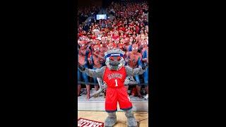 WebstUR mascot reveal incoming...