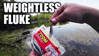 Bass Fishing With a Weightless Fluke! What Can I Catch on a Fluke??