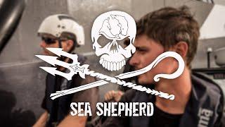 Sea Shepherd's Part-Time Heroes