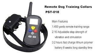 How IPX7 Waterproof Dog Remote Collar PTS-018 Helps with Dog Training