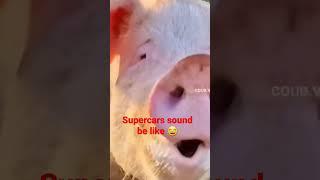 Supercars sound be like #funnyvideo #funnyshortvideo #viral #shorts #youtubeshorts