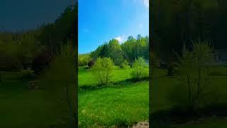 George Jones Green green grass of home #support #countrymusic #hometown #music #blessed
