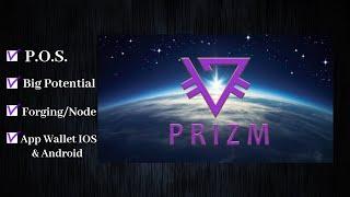 Prizm Cryptocurrency, POS Paramining, Passive Income Holding Just One Coin