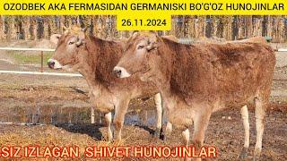 FERMADAN GERMANISKI SHIVET BO'G'OZ HUNOJINLAR SOTILADI@Hikmatillo_uz