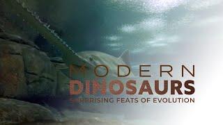 Modern Dinosaurs: Violent Seas