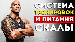 Дуэйн Джонсон: как он тренируется и питается? (Это невероятно)