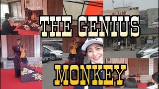 nakayama hokkaido japan intertaining monkey show./ana kawaguchi