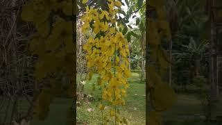 the beauty of nature ️