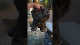 Cleaning Dirty Teddy Bear With Toothbrush Glare washing bear Restoration of torn bear Broken ASMR