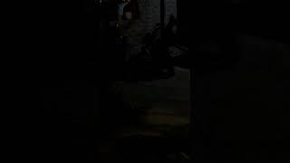 Dog xxx video full hd