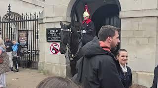 King's guard moves her horse to make the tourist  move out of the box. #kingsguard