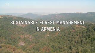 Sustainable Forest Management in Armenia / 2015