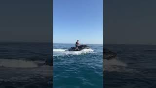 Sea doo life rxp 300