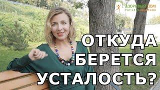 Откуда Берется Усталость? Утрений Кофе Лишает нас Сил Татьяна Шадрина Здоровый Дом