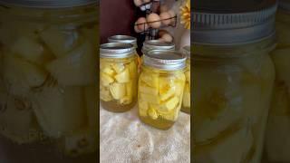 How to can fresh pineapple for long term food preservation! #canning #homestead #pineapple #easy