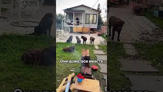Они дома , все вместе …