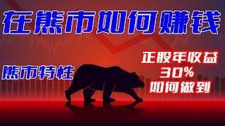 在熊市中如何赚钱, 经历过5次熊市后的经验分享! 2022年度正股收益30%, 如何做到? How to make money in the bear market？30% profit YTD.