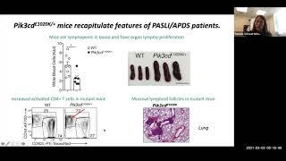 Integrating T cell signals: Genetics and primary immunodeficiencies by Dr. Schwartzberg Pamela