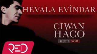 Ciwan Haco - Hevala Evîndar【Remastered】 (Official Audio)