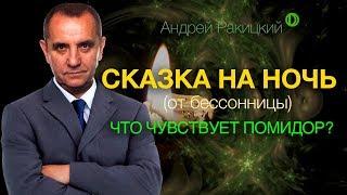 Сказка на ночь для взрослых. Что чувствует помидор?