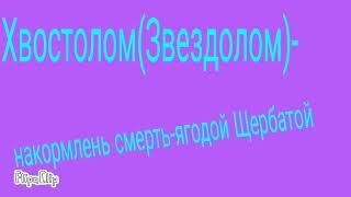 Смерти котов воителей. Часть 1