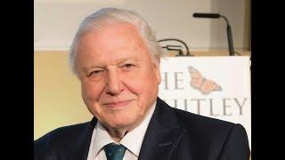 Whitley Awards 25th Anniversary Film