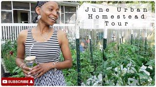 Urban Homestead Garden Tour | Early June Garden Tour