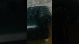 AHMAD INTERIOR.                    #youtubeshorts #sofa #bed #sofabed #viral #interiordesign