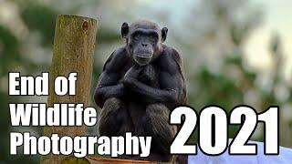 The end of Wildlife Photography in 2021! | Looking Back at this Years Wildlife Photography