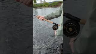 #flyfishdan #fishing #flyfisherman #speycasting #fishingvideo