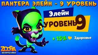 КАЧАЕМ ПАНТЕРУ ЭЛЕЙН НА 9 УРОВЕНЬ В ИГРЕ ZOOBA