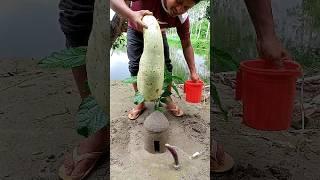 gourd Amazing creative video idea  #creative #videography #idea