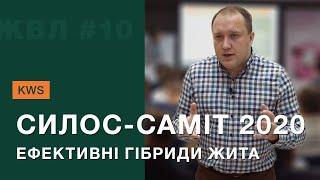 Силос-саміт 2020: ефективні гібриди жита для силосування. ЖВЛ #10