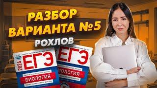 Разбор вариант №5 Рохлов 2024 ЕГЭ Биология