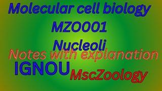 MScZoology IGNOU molecular cell biology Mzooo1 Nucleoli।notes with full explanation