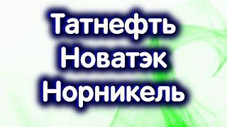 Татнефть об., ГМК Норникель, Новатэк. Дивиденды. Индекс Мосбиржи. Обзор 17.12.2024