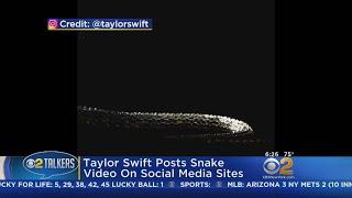 Taylor Swift Posts Snake Video On Social Media Sites