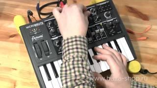 Arturia MicroBrute. Подробный обзор