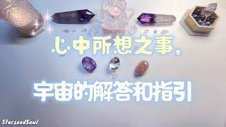 塔羅占卜| 心中所想之事，來自宇宙答案 (Timeless)