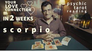 Scorpio - Your Love Connection IN 2 WEEKS - Tarot Card reading - Psychic Love Tarot