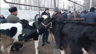 Qoqon mol bozori ģunajinlar VA sigirlar narhlari bilan tanishing 15.01.2025yil