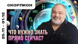 СКОРПИОН: РАСКЛАД ДЛЯ ПРОДУКТИВНОЙ НЕДЕЛИ 25 НОЯБРЯ - 1 ДЕКАБРЯ | ТАРО ПРОГНОЗ И МЕДИТАЦИЯ