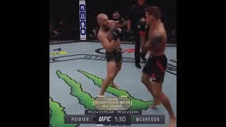 Conor McGregor vs Xabib Nurmagamedov после боя