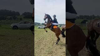 Happy ctto:luisaa #horse #equestrian #horseriding #viralshorts #fyp #trending #amazing #foryou