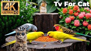 Relaxing Cat TV for Cats to Watch  Birds & Squirrels Feast in Sunlit Serenity 4K HDR No Ads