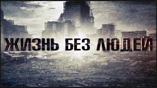 Земля: Жизнь Без Людей | Что Станет с Землей Если Все Люди Исчезнут?